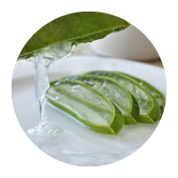 Aloe vera gel