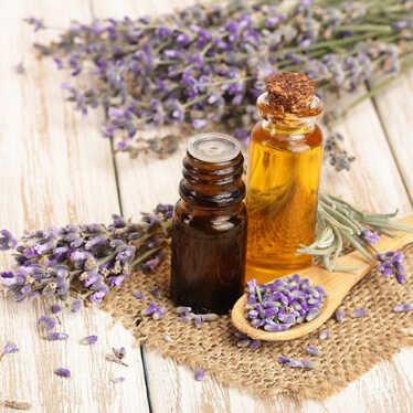 lavender sprigs with dark bottle and transparent bottle of oil