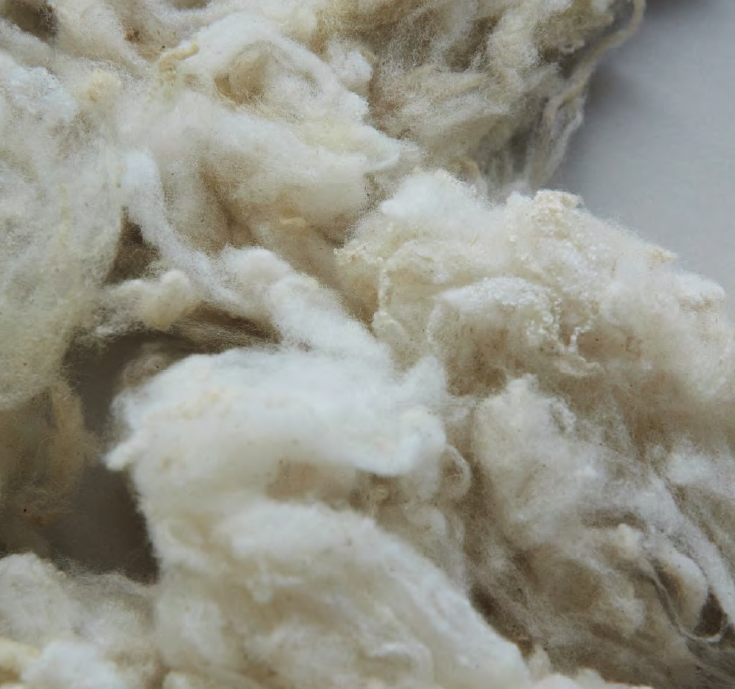 Teixidors gebruikt de beste merino wol voor hun producten - 100% biologisch en ecologisch