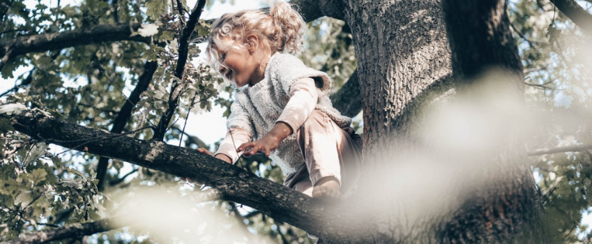 Wolvenkinderen - boek nu online bij Amanvida