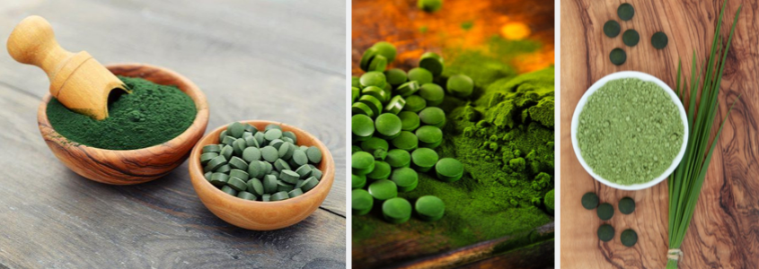 spirulina, chlorella en gerstegras poeder en tabletten