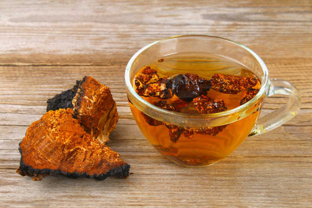 a cup of tea with pieces of chaga mushroom